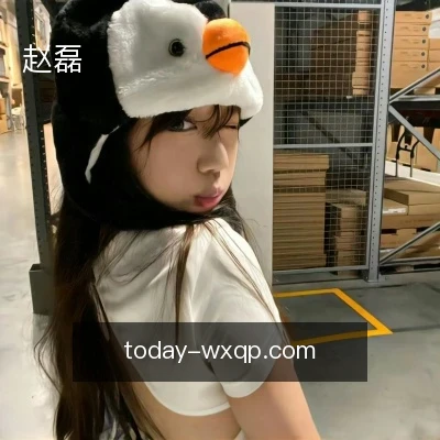 赵磊
